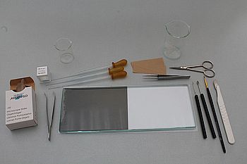 Arbeitsplatz